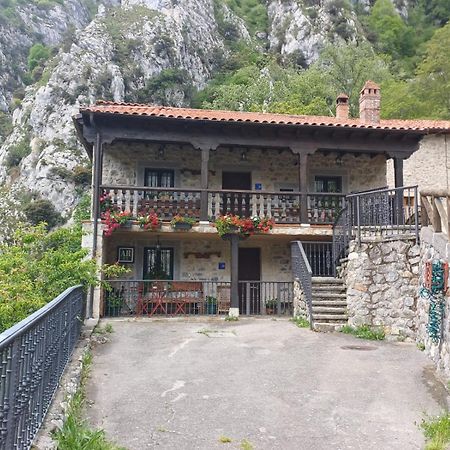 El Portal Del Abuelo Lägenhet Arenas De Cabrales Exteriör bild