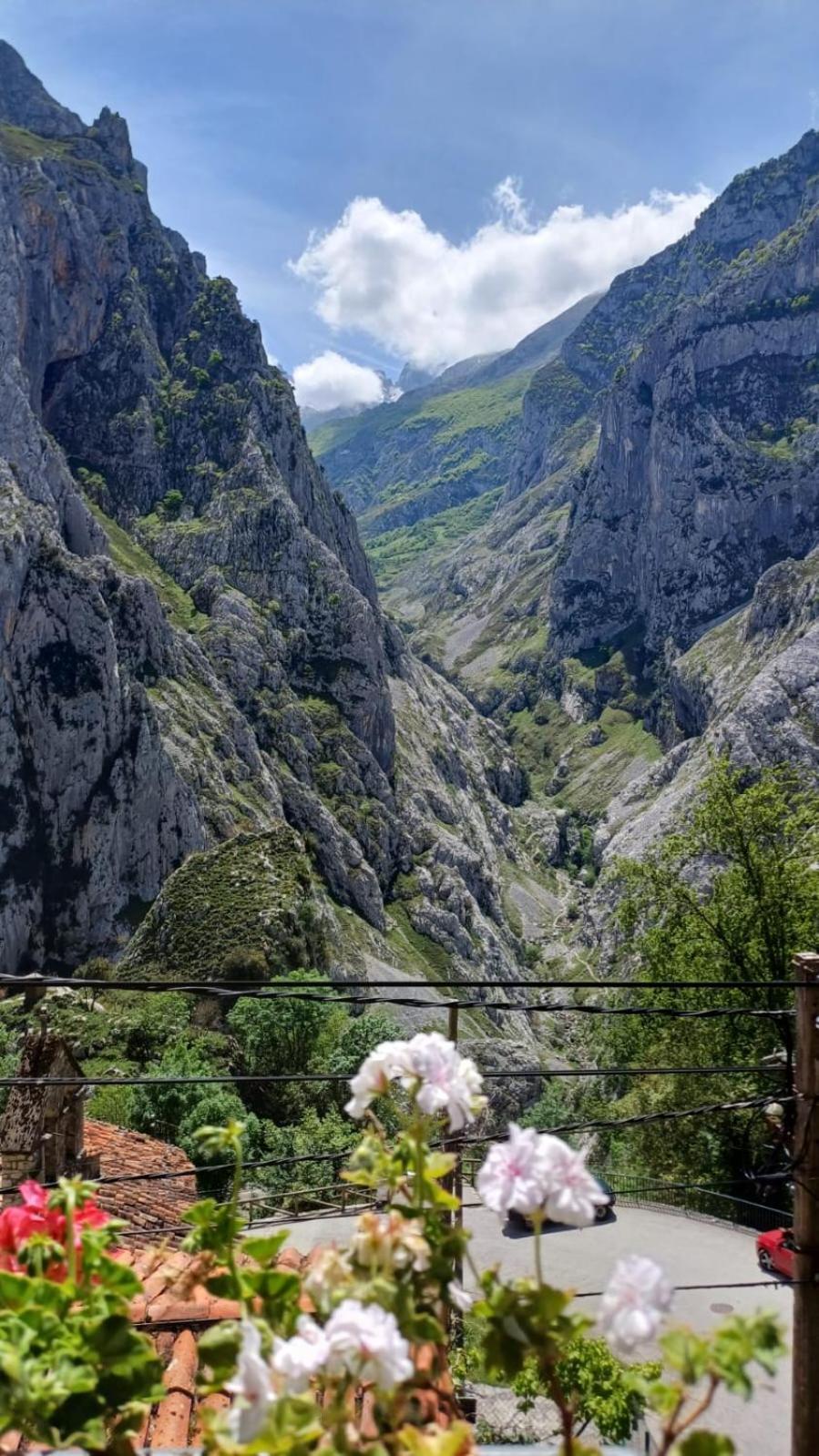 El Portal Del Abuelo Lägenhet Arenas De Cabrales Exteriör bild