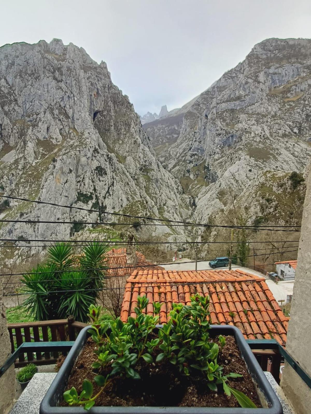 El Portal Del Abuelo Lägenhet Arenas De Cabrales Exteriör bild