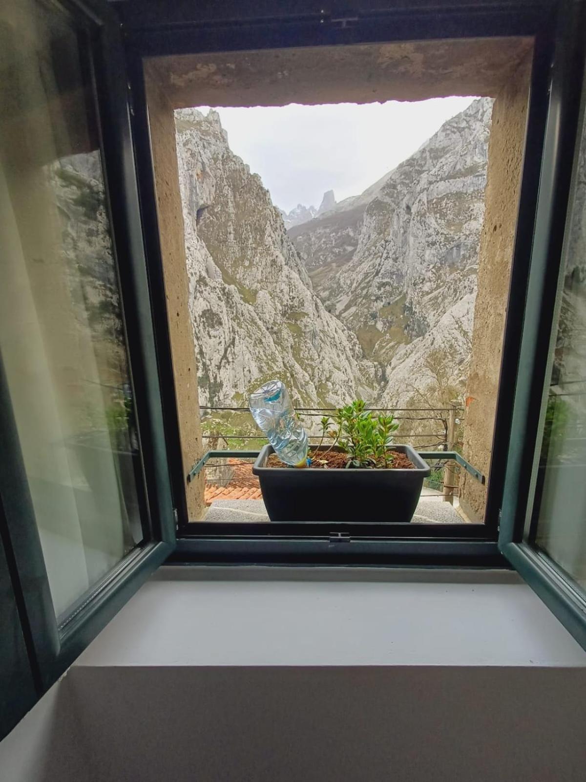 El Portal Del Abuelo Lägenhet Arenas De Cabrales Exteriör bild